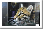 Kein Foto, sondern Airbrush!
