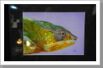 Kein Foto, sondern Airbrush!