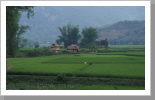 Reisfelder, Mai Chau
